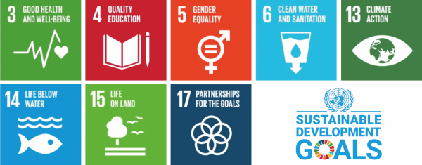 sdgs